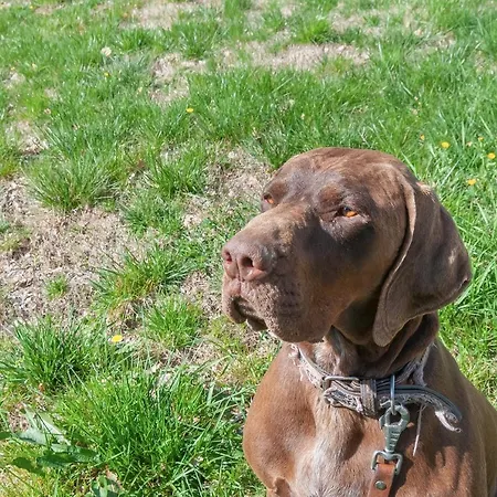 شقة Podere In Volpaia *